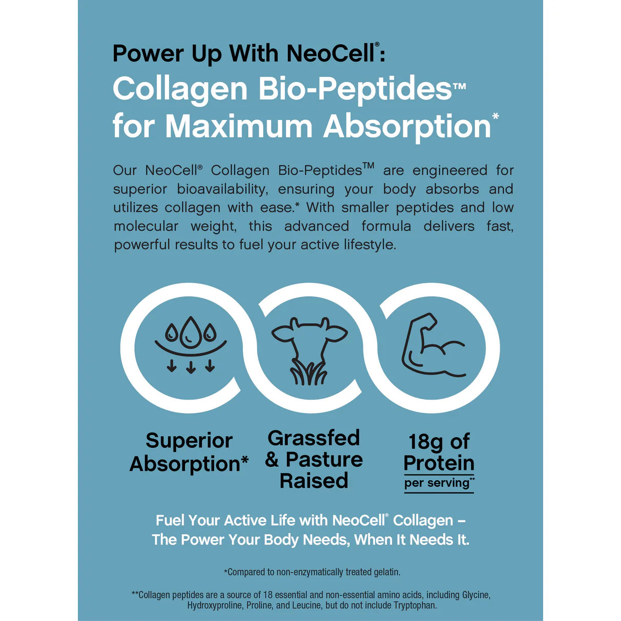 Grassfed Collagen Bio-Peptides Powder